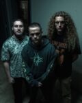 News: Brotality showing their jaws