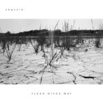 Review: Flesh Gives Way by Sequoia