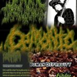 Feature: The Curious Case of Demonic Dismemberment